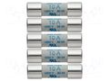 Fuse; 10x38mm; 1kV; 10A; 5pcs. TESTO TESTO-05900004