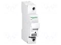 Fuse acces: fuse disconnector; Poles: 1; 400VAC; 10A; 8.5x31.5mm SCHNEIDER ELECTRIC A9N15635