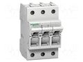 Fuse disconnector; D01; for DIN rail mounting; 16A; Poles: 2 SCHNEIDER ELECTRIC MGN01316