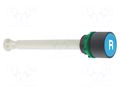 Switch: push-button; 22mm; Stabl.pos: 1; blue; none; IP66; flat SCHNEIDER ELECTRIC XB5AA86102