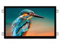 Display: TFT; 5"; 800x480; Illumin: LED; Dim: 121.5x76.6x5.93mm; RGB Riverdi SM-RVT50HQLFWCA0