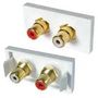 AV 2 X RCA/PHONO MODULE 20-0012