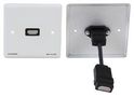 HDMI PASSIVE WALL PLATE WP-H1M