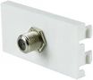 WALL PLATE MODULE, 50MM X 25MM 122.520UK