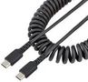 USB CABLE, 2.0, C PLUG-C PLUG, 500MM R2CCC-50C-USB-CABLE