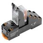 DRMKITP 24VAC 2CO LD Relė su lizdu, 24 V DC, 2CO, AgNi kontaktai, 10 A, PUSH IN, LED, Weidmuller 2576070000 4050118585827