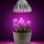 Lemputė LED E27 230V 15W 5x3W augalų auginimui, Raudona + Mėlyna, su lęšiu E27-GROW-15W