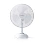 Table Fan | Mains Powered | Diameter: 300 mm | 35 W | Oscillation | 3-Speed | White FNTB10CWT30 5412810291175