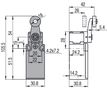 Galinės padėties jungiklis su svirtele ir ratuku FR 530, Pizzato FR-530 8018851037351