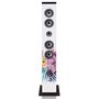 Tower speaker, bt, pll fm, usb IBT-6 ZEBRA 8711902037859