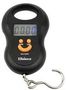 WEIGHING SCALE, HANGING SCALE, 10G, 50KG D03411
