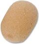 WINDSHEILDS, H'SET MIC, BEIGE, PK5 PLS00092