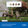 Wi-Fi lauko kamera PT, 4K 8MP, Starlight Color Night Vision, IP66, MicroSD iki 512GB TAPO-C560WS