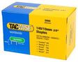 10MM STAPLES (5000PK) 0342