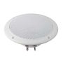FR 13 WP - 4 Ohm (white) - Saltwater resistant 13 cm (5") full-range driver VS-FR13WP/4