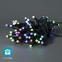 SmartLife Christmas Lights | String | Wi-Fi | RGB | 42 LED's | 5.00 m | Android™ / IOS WIFILX01C42 5412810404254