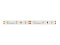 LED strip 300/5m SMD 12V BLUE 4,8W IP20 8mm 5m PRIME 240218 5901583240218
