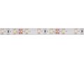 FLEXIBLE LED STRIP - COLD WHITE - 300 LEDS - 5 m - 12 V LS12M130CW1 5410329667290; 5410329678906; 5410329678913