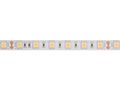 FLEXIBLE LED STRIP - WARM WHITE - 300 LEDs - 5 m - 24 V LS24M230WW1 5410329668143