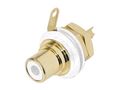 REAN - PHONO RECEPTACLE (RCA) - GOLD PLATED CONTACTS - WHITE NYS367-9 5410329440336; 5410329440336