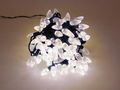 Strawberry Light LED - 12 m - 120 warm white lamps - green wire - 24 V SL-LED-12-24V-UW 5420046517556