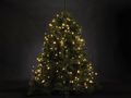 ATRIA LED - for tree 1.8 m - 220 warm white lamps - green wire - 24 V V-ATR-180-S-24V-UW-GW 5410329736569
