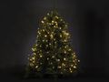 ATRIA LED - for tree 2.4 m - 330 warm white lamps - green wire - 24 V V-ATR-240-S-24V-UW-GW 5410329736590