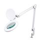 LED desk working lamp with magnifying glass - 5 dioptre - 4 W - 48 LEDs - white VTLLAMP2W 5410329438159; 5410329541439