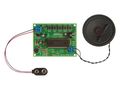 VOICE RECORDING/PLAYBACK MODULE WSAH195 5410329730413