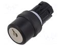 Switch: rotary with key; 22mm; Stabl.pos: 2; none; IP66,IP67,IP69K EAO 45-290H.1000.111