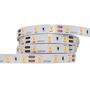 LED line® lenta 300 SMD5630 24V SAMSUNG 2700K 18w/m 247743 5901583247743