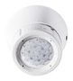 PIR MOVEMENT DETECTOR, 360DEG, 8M 18.21.8.230.0300