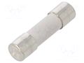 Fuse: fuse; 250mA; 250VAC; time-lag; ceramic,cylindrical; 5x20mm ESKA 522611