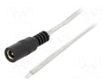 Cable; 2x0.5mm2; wires,DC 5,5/2,5 socket; straight; transparent BQ CABLE DC.CAB.8400.0300
