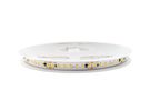 LED lente, 24V 10W/m, IP20, neitrāli balta 4000K, 1532lm/m, SAMSUNG SMD, PREMIUM AKTO AFLP-140RA10024M-NW 4772081003848