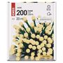LED virtene MAZĀS Bumbiņas, 230Vac, 20m, 200x LED, silti baltas, ar taimeri, EMOS D5AW03 8592920096017