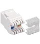 LigzdaCAT6 balta TF-LZ/CAT6W 4040849957406