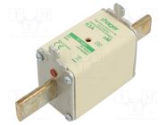 Fuse: fuse; aM; 63A; 690VAC; industrial; NH1 HAGER