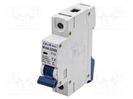 Circuit breaker; 10A; Poles: 1; for DIN rail mounting; Charact: C QOLTEC