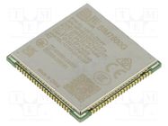 Module: LTE; Down: 10Mbps; Up: 5Mbps; SMD; LTE CAT1; 30x30x2.5mm SIMCOM