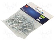 Rivet; aluminium; Rivet diam: 4.8mm; L.rivet: 13mm; 50pcs. HÖGERT TECHNIK