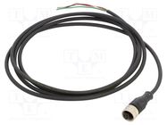 Connection lead; UNF 1/2-20; PIN: 3; straight; 2m; plug; 250VAC; 4A TELEMECANIQUE SENSORS