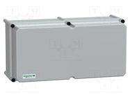 Enclosure: multipurpose; X: 270mm; Y: 540mm; Z: 230mm; Thalassa PLS SCHNEIDER ELECTRIC