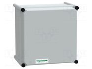 Enclosure: multipurpose; X: 270mm; Y: 270mm; Z: 180mm; Thalassa PLS SCHNEIDER ELECTRIC