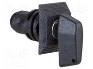 Lock; for enclosures,Thalassa PLM; Key code: 220 