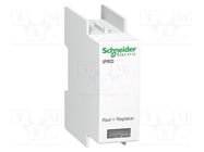 Cartridge for surge arrestor; Type 2; socket; -25÷60°C; IP20; 8kA SCHNEIDER ELECTRIC