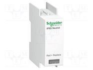 Neutral terminal; socket; -25÷60°C; IP20 SCHNEIDER ELECTRIC