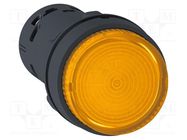 Switch: push-button; 22mm; Stabl.pos: 1; NO; orange; LED; 24V; IP65 SCHNEIDER ELECTRIC