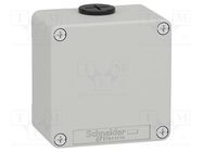 Enclosure: for remote controller; IP65; X: 80mm; Y: 80mm; Z: 51.5mm SCHNEIDER ELECTRIC