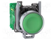 Switch: push-button; 22mm; Stabl.pos: 1; green; none; IP66; flat SCHNEIDER ELECTRIC